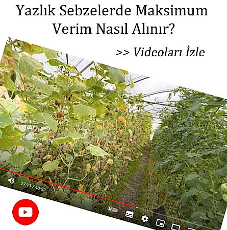 eryaman çiftliği