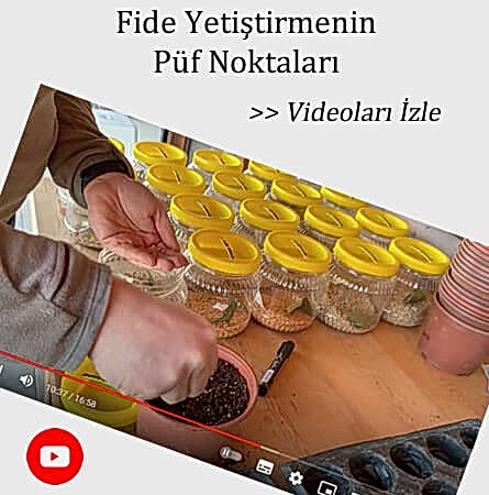 eryaman çiftliği
