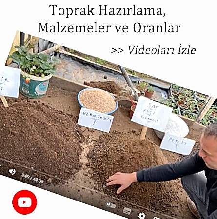 eryaman çiftliği
