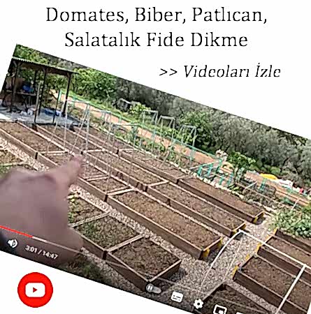 eryaman çiftliği